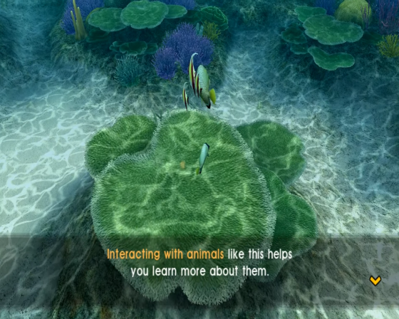 Endless Ocean: Blue World Screenshot 6 (Nintendo Wii (US Version))