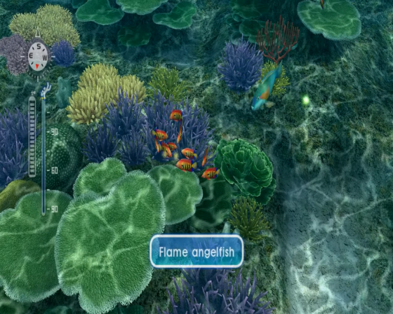 Endless Ocean: Blue World Screenshot 9 (Nintendo Wii (US Version))
