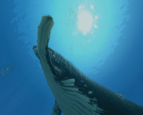 Endless Ocean: Blue World Screenshot 34 (Nintendo Wii (US Version))