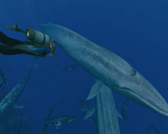 Endless Ocean: Blue World Screenshot 35 (Nintendo Wii (US Version))