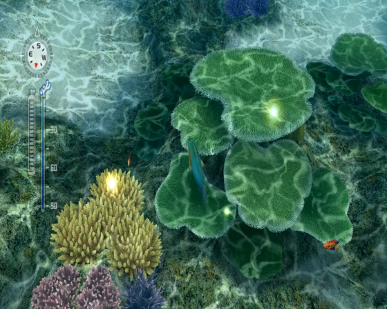 Endless Ocean: Blue World Screenshot 50 (Nintendo Wii (US Version))