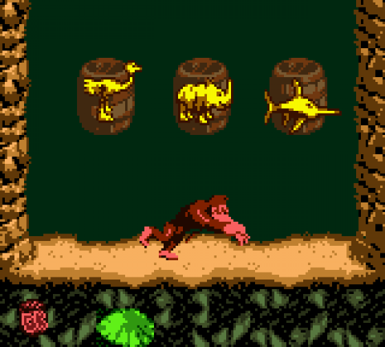 Donkey Kong Country Screenshot 5 (Game Boy Color)