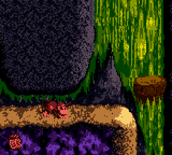 Donkey Kong Country Screenshot 7 (Game Boy Color)