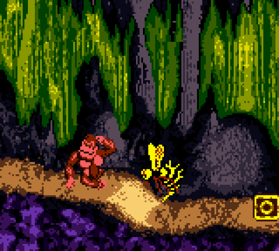 Donkey Kong Country Screenshot 9 (Game Boy Color)