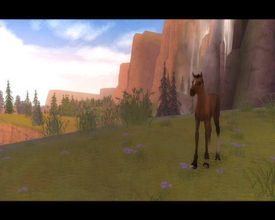Petz: Horse Club Screenshot 40 (Nintendo Wii (US Version))