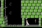 Prince Of Persia Screenshot 4 (Commodore 64/128)
