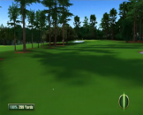 Tiger Woods PGA Tour 12: The Masters Screenshot 13 (Nintendo Wii)
