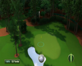 Tiger Woods PGA Tour 12: The Masters Screenshot 15 (Nintendo Wii)