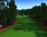 Tiger Woods PGA Tour 12: The Masters Screenshot 25 (Nintendo Wii)