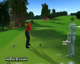 Tiger Woods PGA Tour 12: The Masters Screenshot 44 (Nintendo Wii)