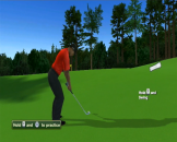 Tiger Woods PGA Tour 12: The Masters Screenshot 47 (Nintendo Wii)